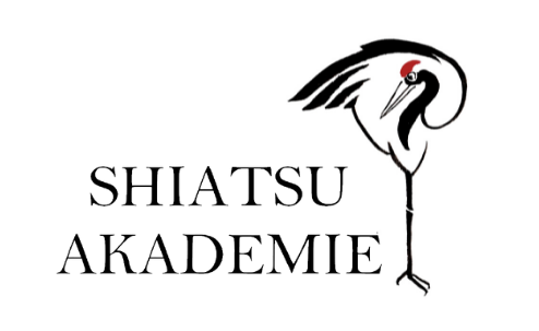 Shiatsu akademie